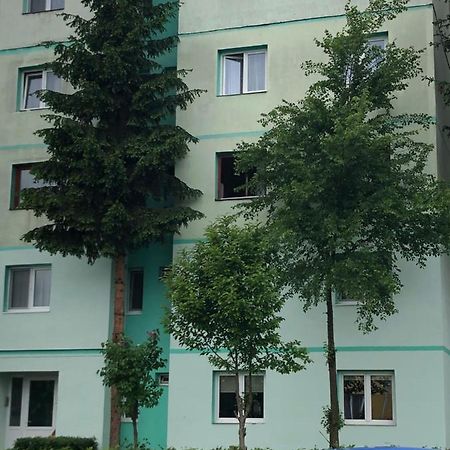 Apartament Silvia Apartment Sibiu Bagian luar foto