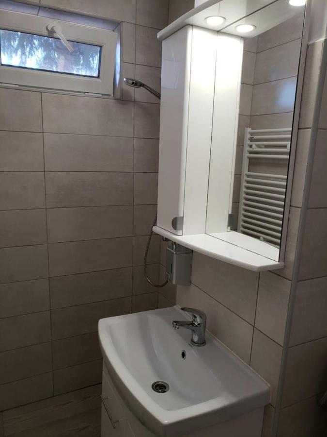 Apartament Silvia Apartment Sibiu Bagian luar foto