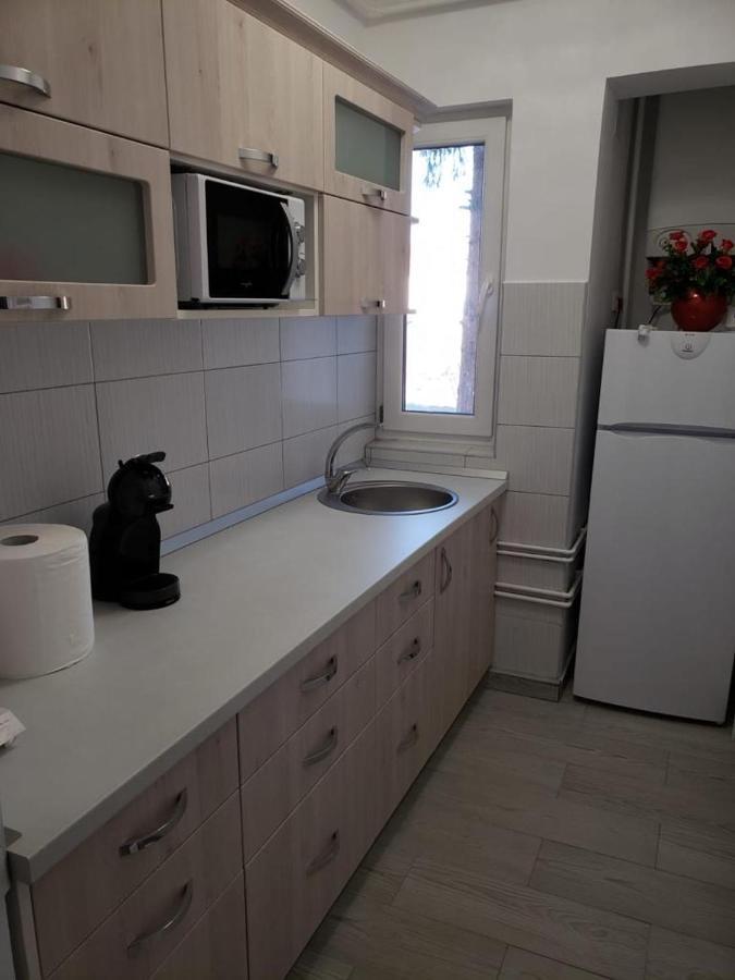 Apartament Silvia Apartment Sibiu Bagian luar foto